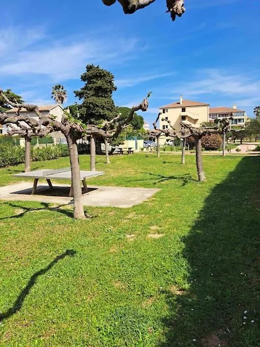 Bel Appartement, Proche Plage Les Sablettes La Seyne-sur-Mer Apartment